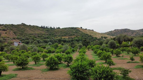 terreno agricolo in vendita ad Avola