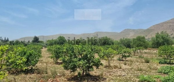 terreno agricolo in vendita ad Avola