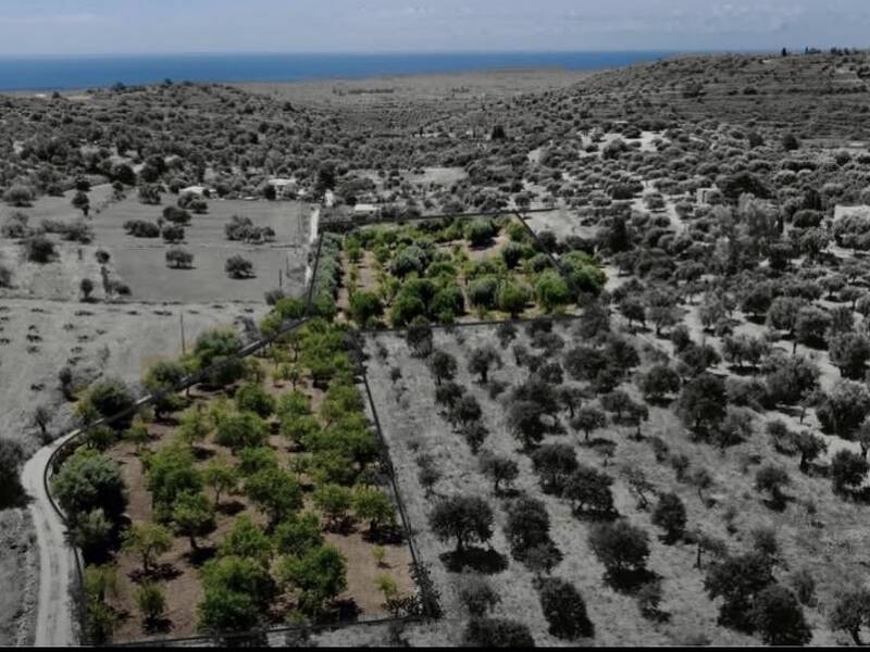 terreno agricolo in vendita ad Avola