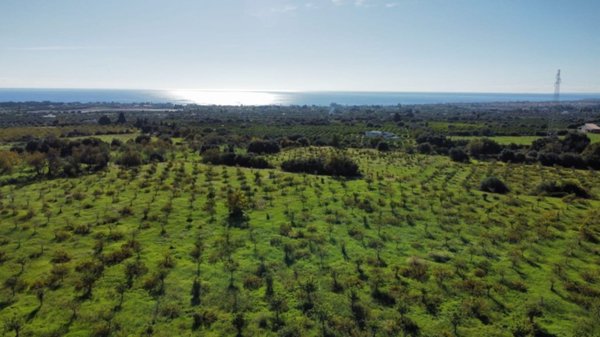 terreno agricolo in vendita ad Avola