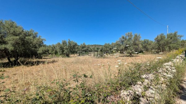 terreno agricolo in vendita ad Avola