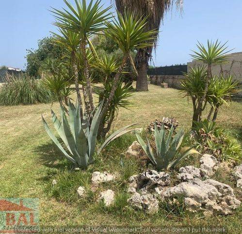 casa indipendente in vendita ad Avola