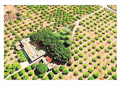 casa indipendente in vendita ad Avola