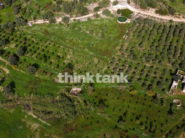 terreno agricolo in vendita ad Avola