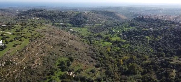 azienda agricola in vendita ad Avola