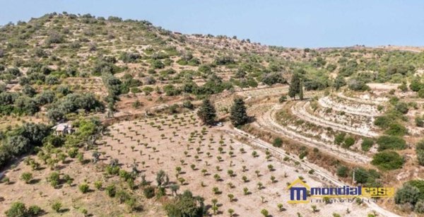 casa indipendente in vendita ad Avola