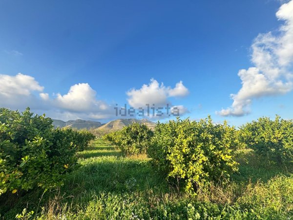 terreno agricolo in vendita ad Avola
