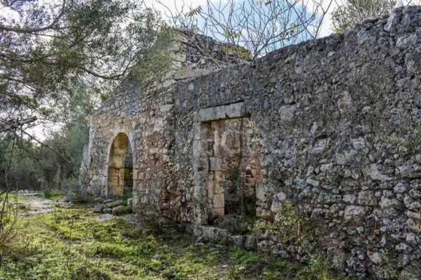 terreno agricolo in vendita ad Avola