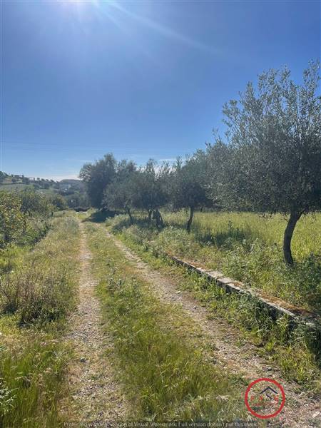 immagine annuncio 0 di 1