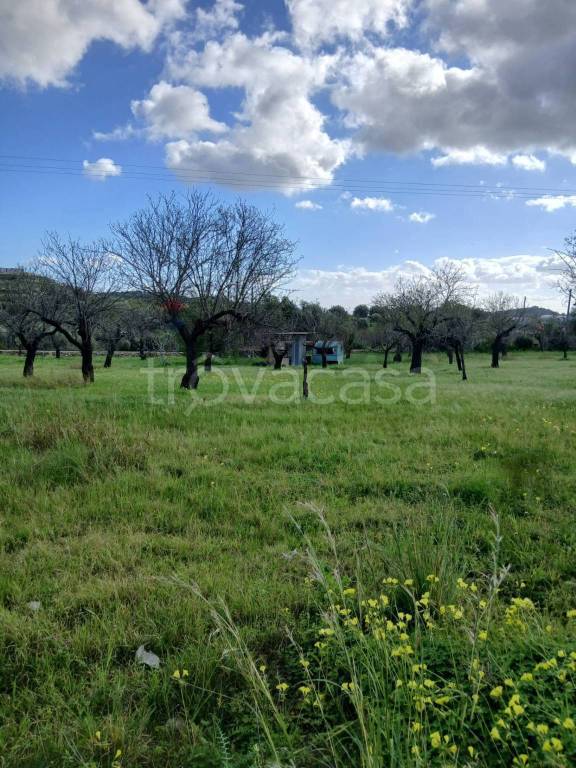 terreno agricolo in vendita ad Avola
