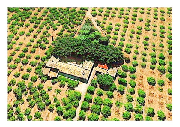 casa indipendente in vendita ad Avola