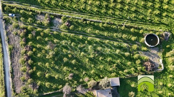terreno agricolo in vendita ad Avola