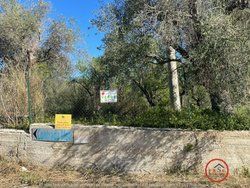 terreno agricolo in vendita ad Avola