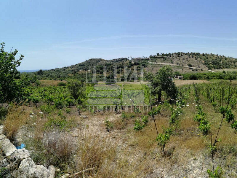 terreno agricolo in vendita ad Avola