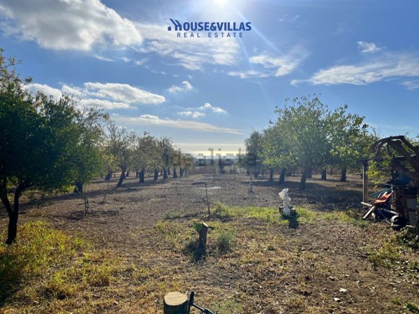 pentavano in vendita ad Avola