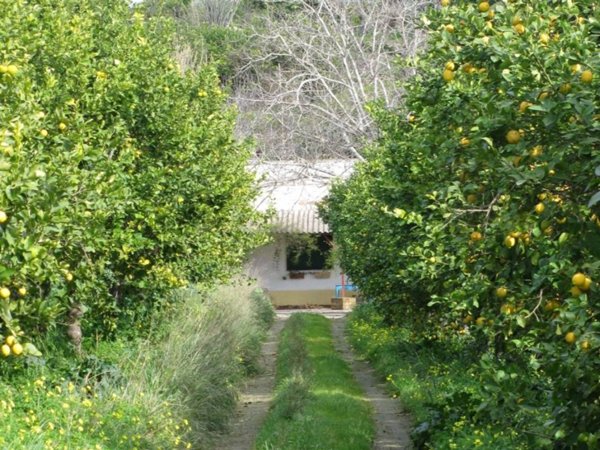 casa indipendente in vendita ad Avola in zona Piccio