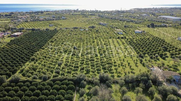 terreno agricolo in vendita ad Avola