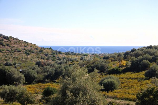 terreno agricolo in vendita ad Avola