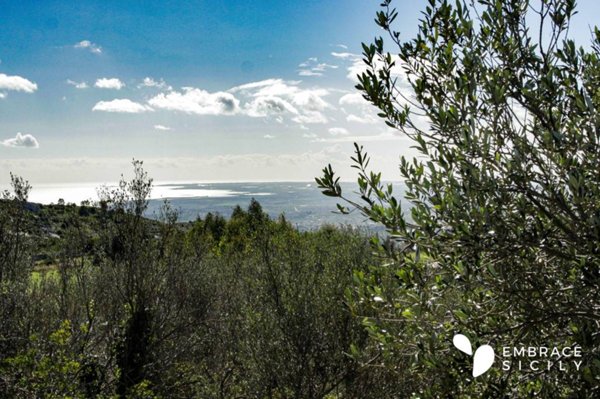 terreno agricolo in vendita ad Avola