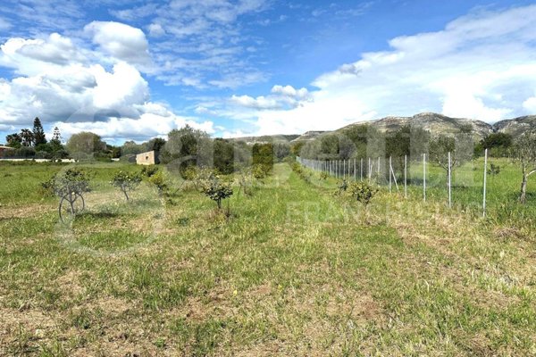 terreno agricolo in vendita ad Avola