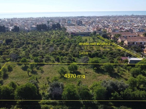 terreno agricolo in vendita ad Avola