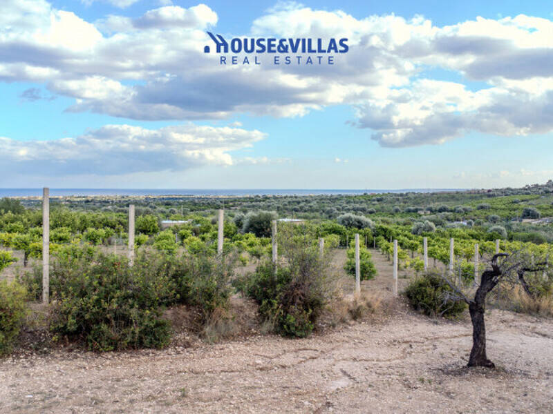 terreno agricolo in vendita ad Avola