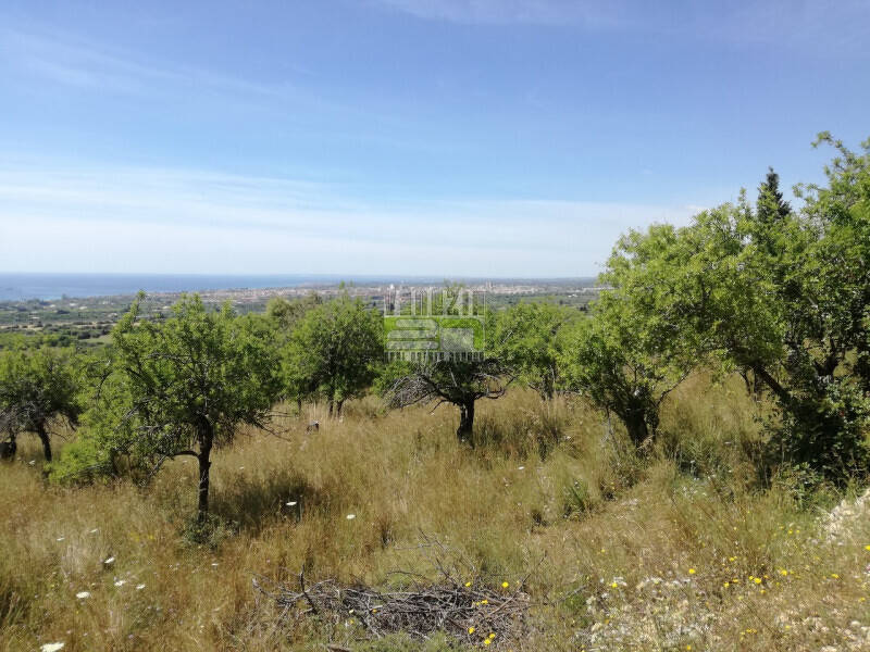 terreno agricolo in vendita ad Avola