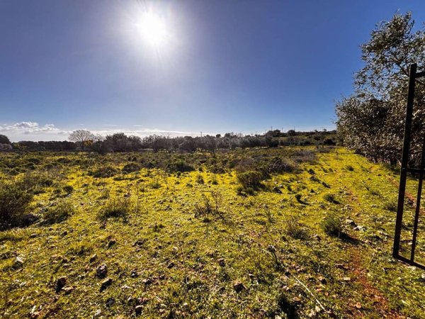 terreno agricolo in vendita ad Avola