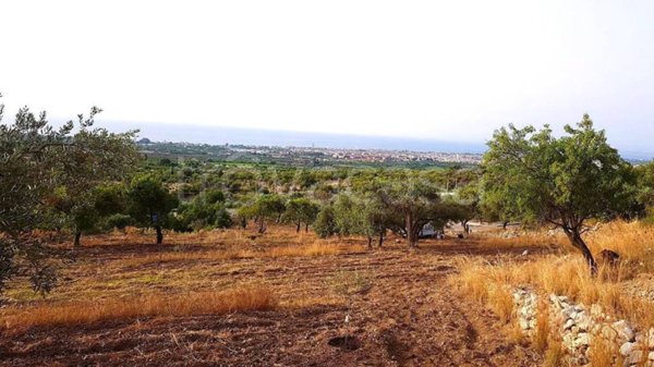 terreno agricolo in vendita ad Avola