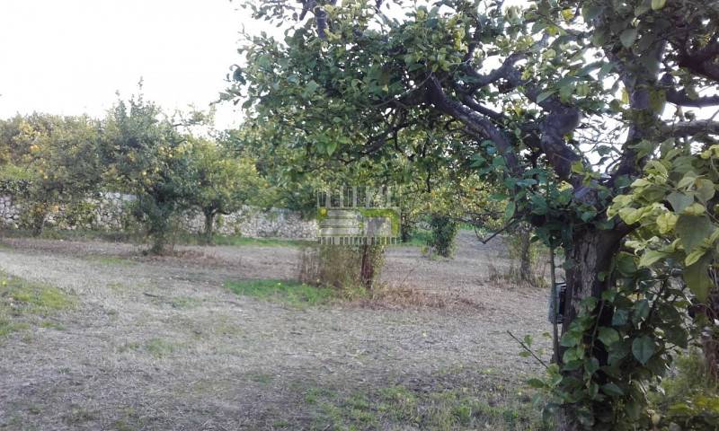 locale di sgombero in vendita ad Avola