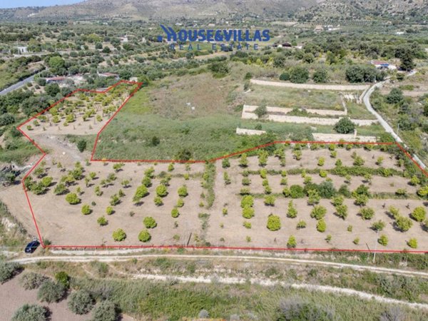 terreno agricolo in vendita ad Avola