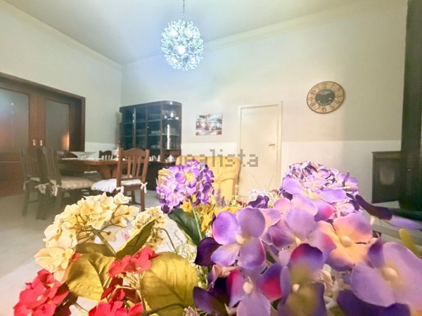casa indipendente in vendita ad Avola