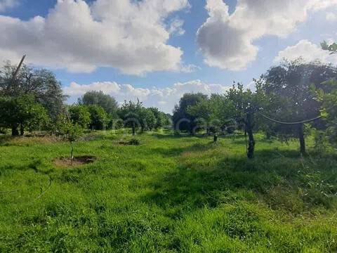 terreno agricolo in vendita ad Avola