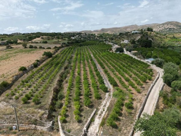 terreno agricolo in vendita ad Avola