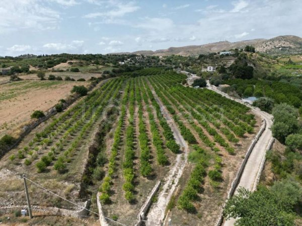 terreno agricolo in vendita ad Avola