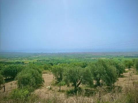 terreno agricolo in vendita ad Avola