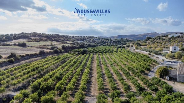 terreno agricolo in vendita ad Avola