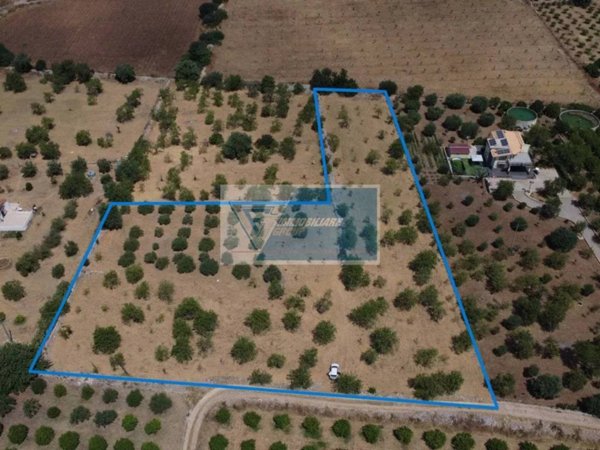 terreno agricolo in vendita ad Avola
