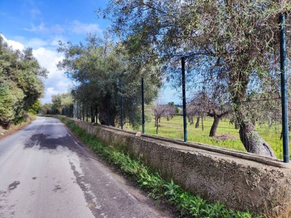 terreno agricolo in vendita ad Avola