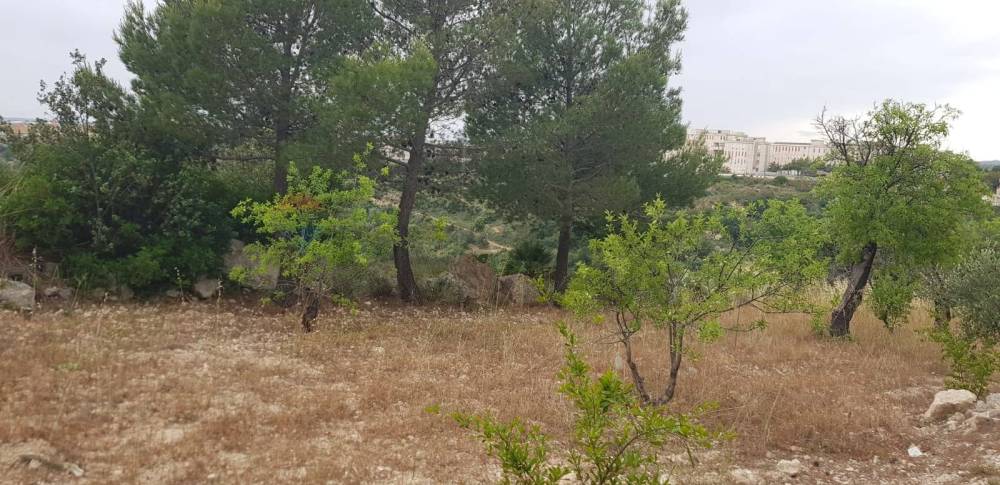 terreno agricolo in vendita ad Avola