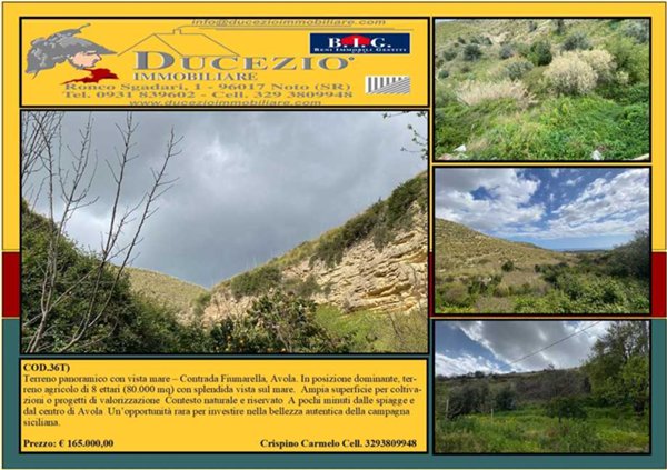 terreno agricolo in vendita ad Avola in zona Montagna