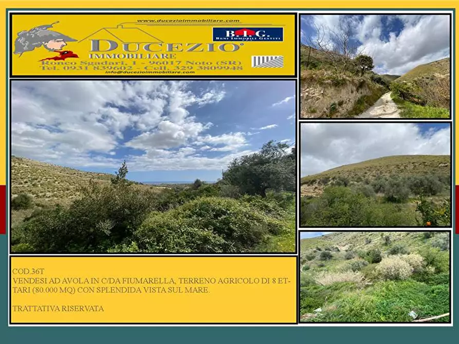 terreno agricolo in vendita ad Avola in zona Montagna