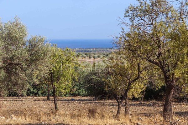 casa indipendente in vendita ad Avola