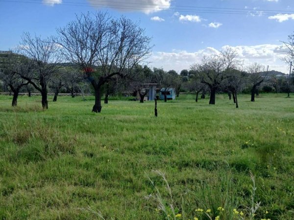 terreno agricolo in vendita ad Avola