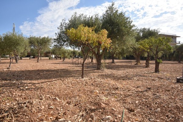 terreno in vendita ad Avola