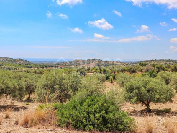 terreno agricolo in vendita ad Avola