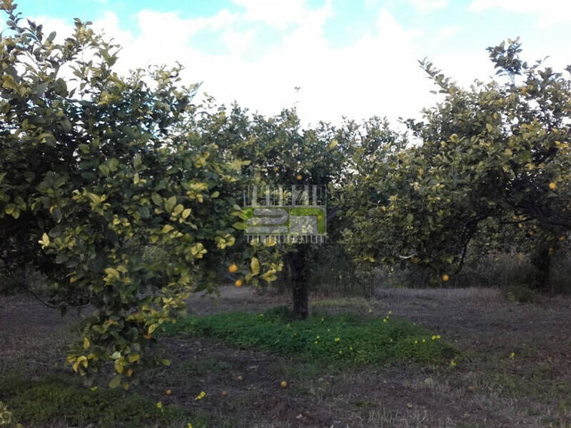 terreno in vendita ad Avola