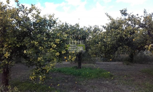 terreno in vendita ad Avola