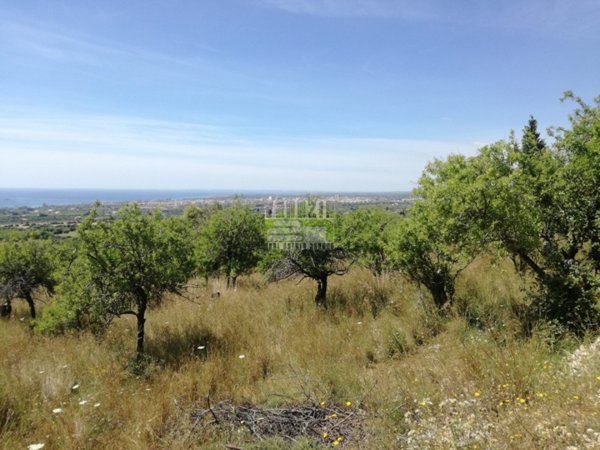 terreno in vendita ad Avola in zona Chiusa di Carlo
