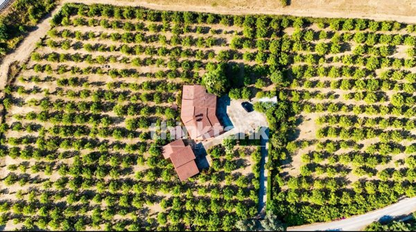 casa indipendente in vendita ad Avola